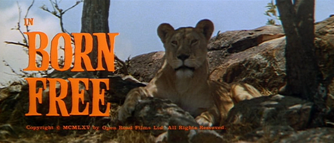 Born Free
