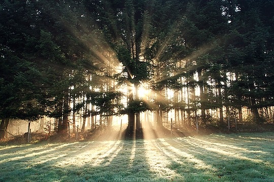 Florent Courty