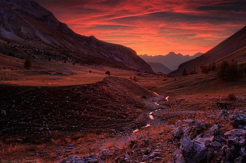 Florent Courty