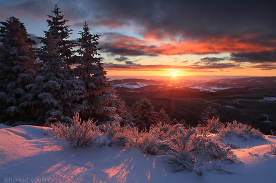 Florent Courty