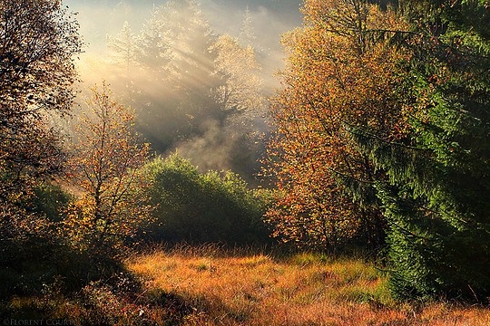 Florent Courty