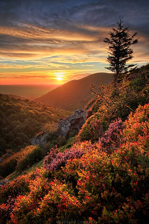 Florent Courty