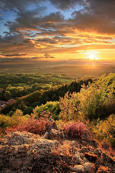 Florent Courty