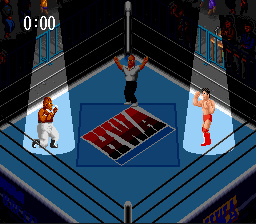 Super Fire Pro Wrestling 2