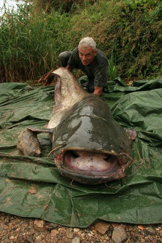 River Monsters River Monsters