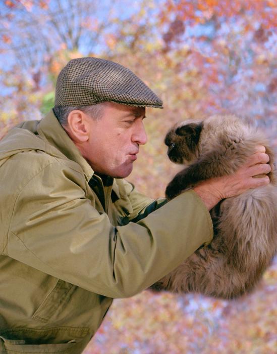 Robert De Niro