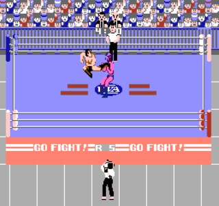 Pro Wrestling