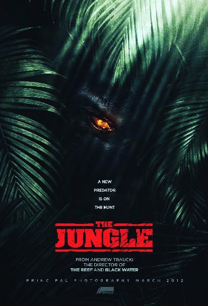 The Jungle