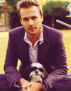 Gabriel Macht Gabriel Macht