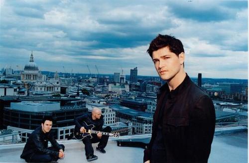 The Script