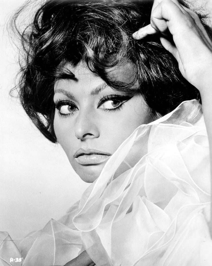 Sophia Loren Sophia Loren