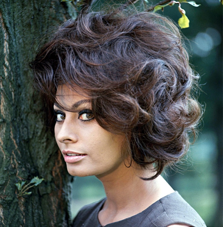 Sophia Loren Sophia Loren