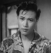 Han Chin