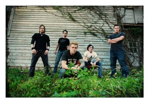 12 Stones image