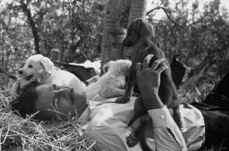 Marlon Brando Marlon Brando