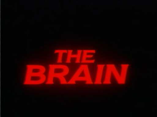 The Brain