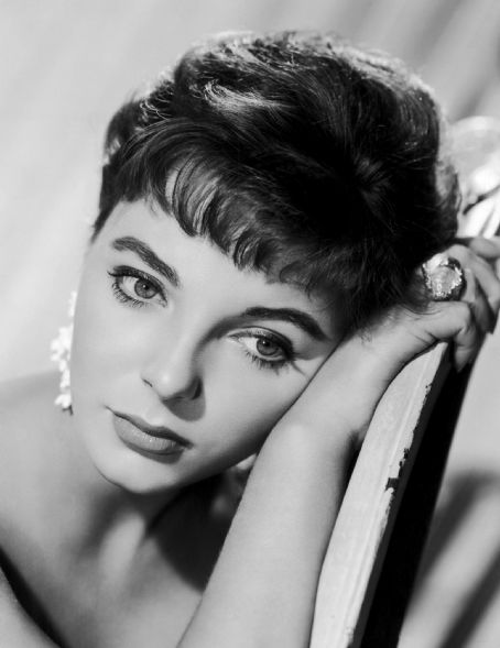 Joan Collins Joan Collins