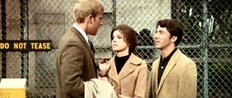 The Graduate