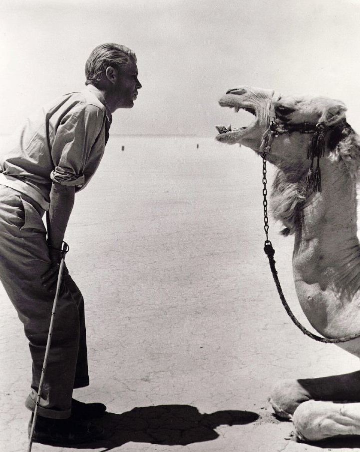 Peter O'Toole Peter O'Toole