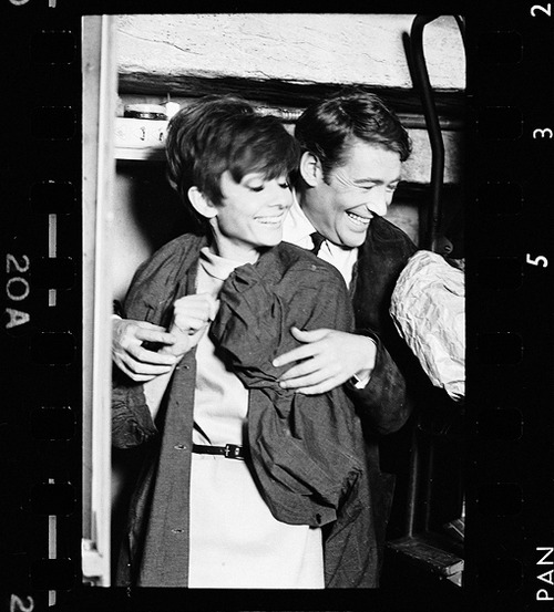 Peter O'Toole Peter O'Toole