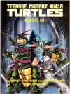 Teenage Mutant Ninja Turtles III (First Graphic Novel)