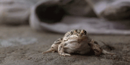 500full-o-brother,-where-art-thou%3F-scr