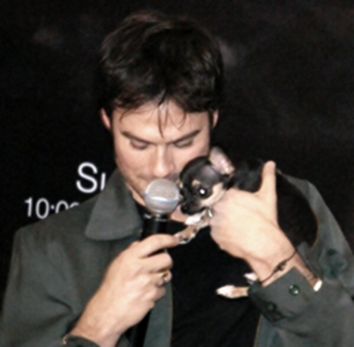 Ian Somerhalder