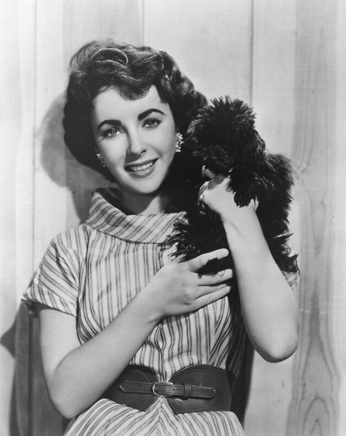 Elizabeth Taylor Elizabeth Taylor