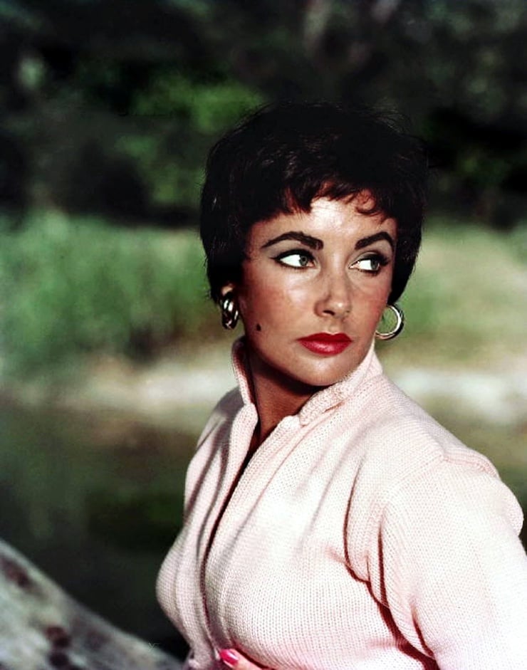 Elizabeth Taylor Elizabeth Taylor