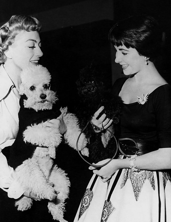 Elizabeth Taylor