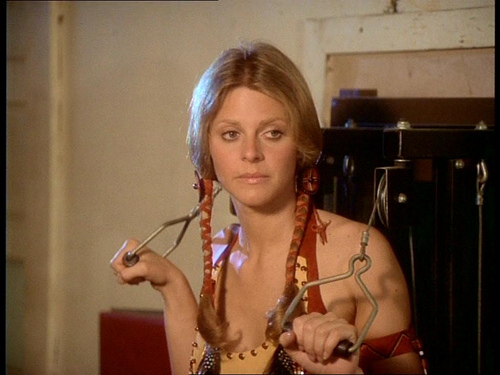 Image of Lindsay Wagner