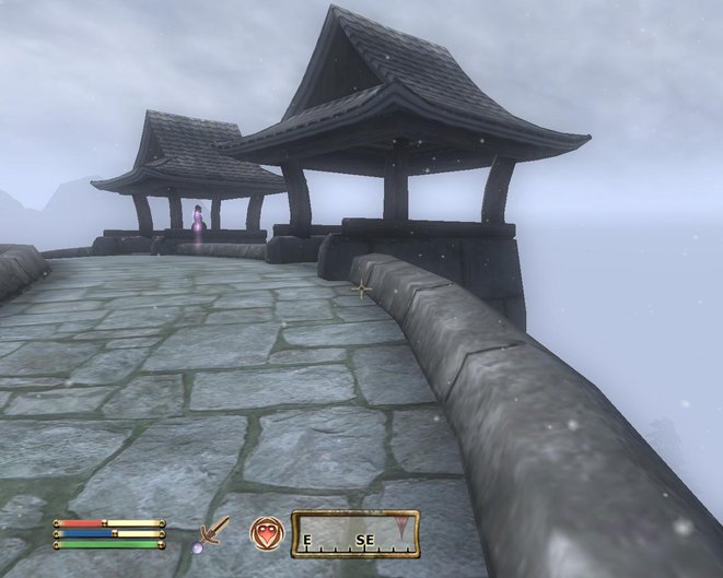 The Elder Scrolls IV: Oblivion