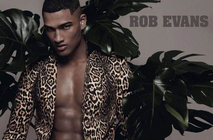 Rob Evans