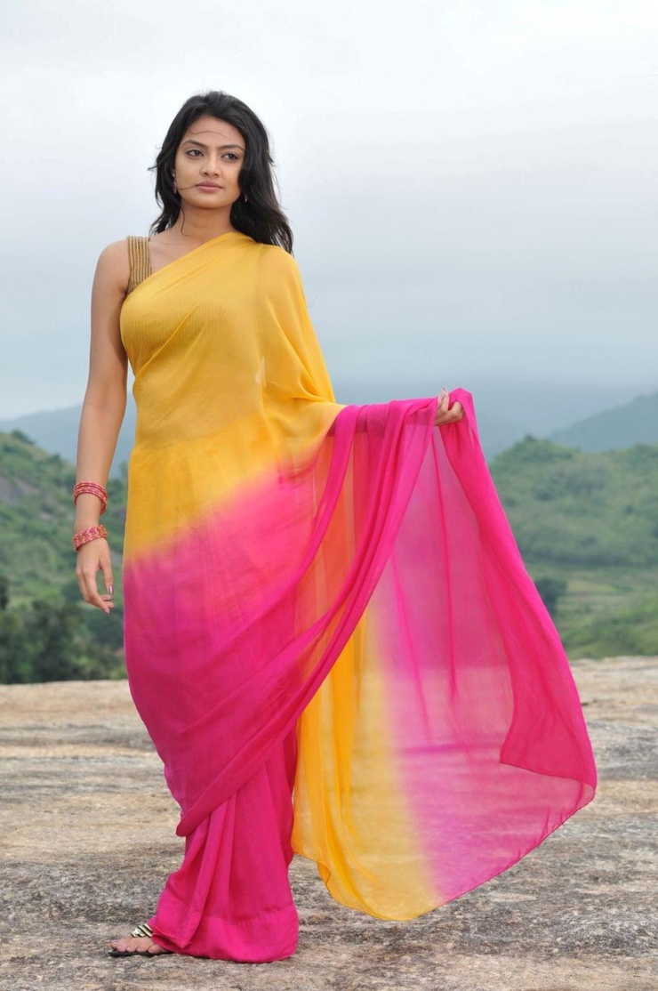 Nikitha Narayan