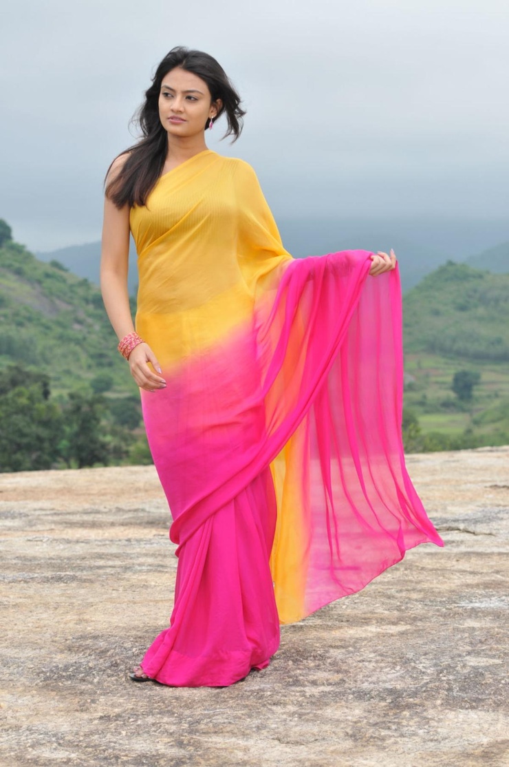 Nikitha Narayan