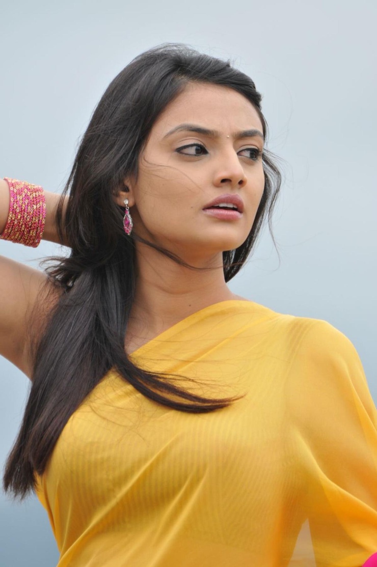 Nikitha Narayan