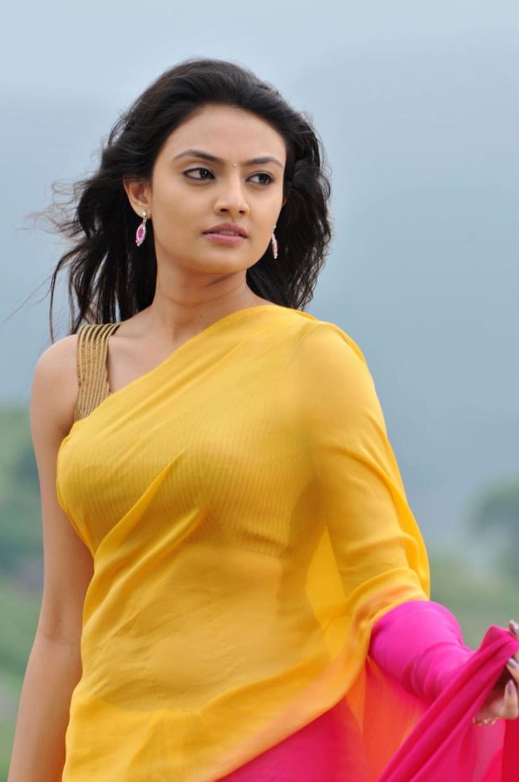 Nikitha Narayan