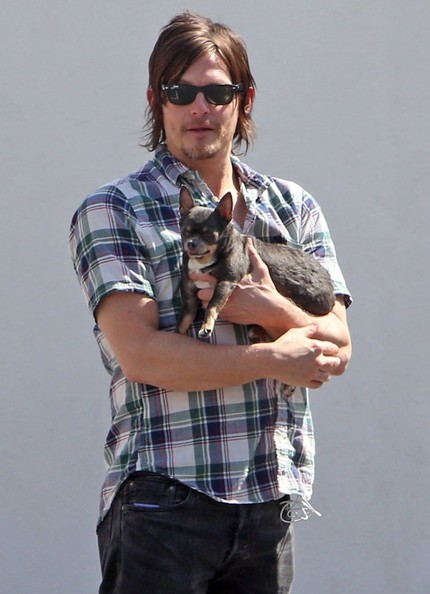Norman Reedus Norman Reedus