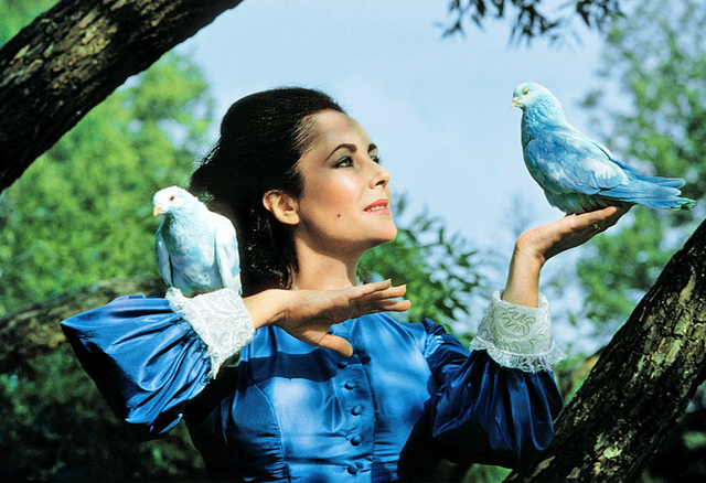 The Blue Bird The Blue Bird