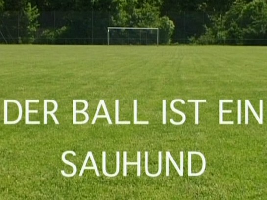 Der Ball ist ein Sauhund