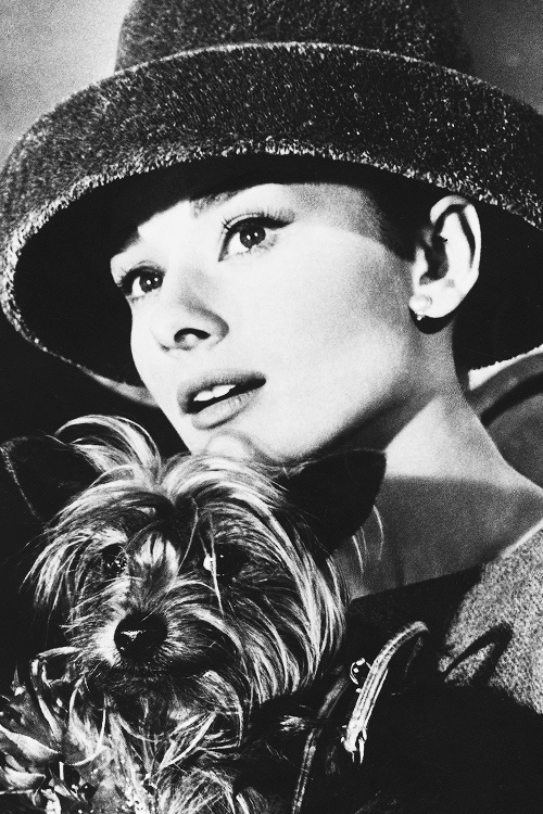 Audrey Hepburn Audrey Hepburn