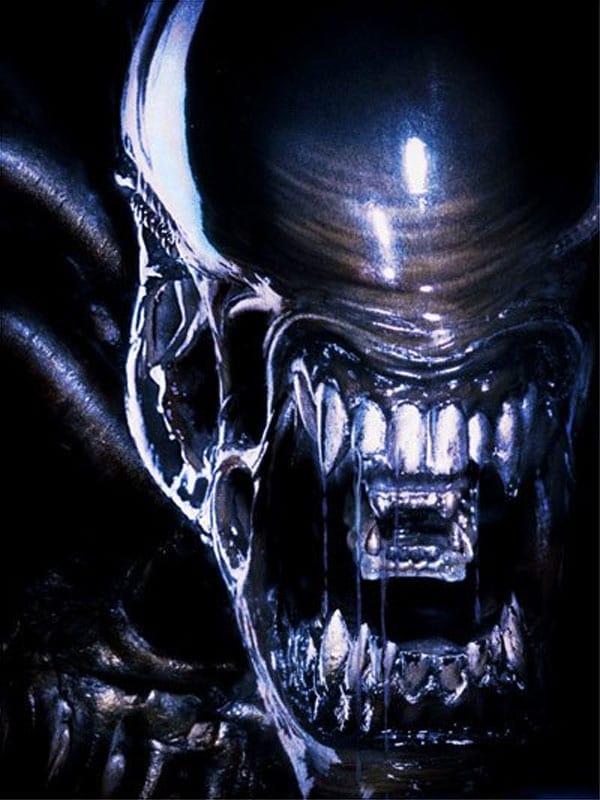 AVP: Alien vs. Predator AVP: Alien vs. Predator