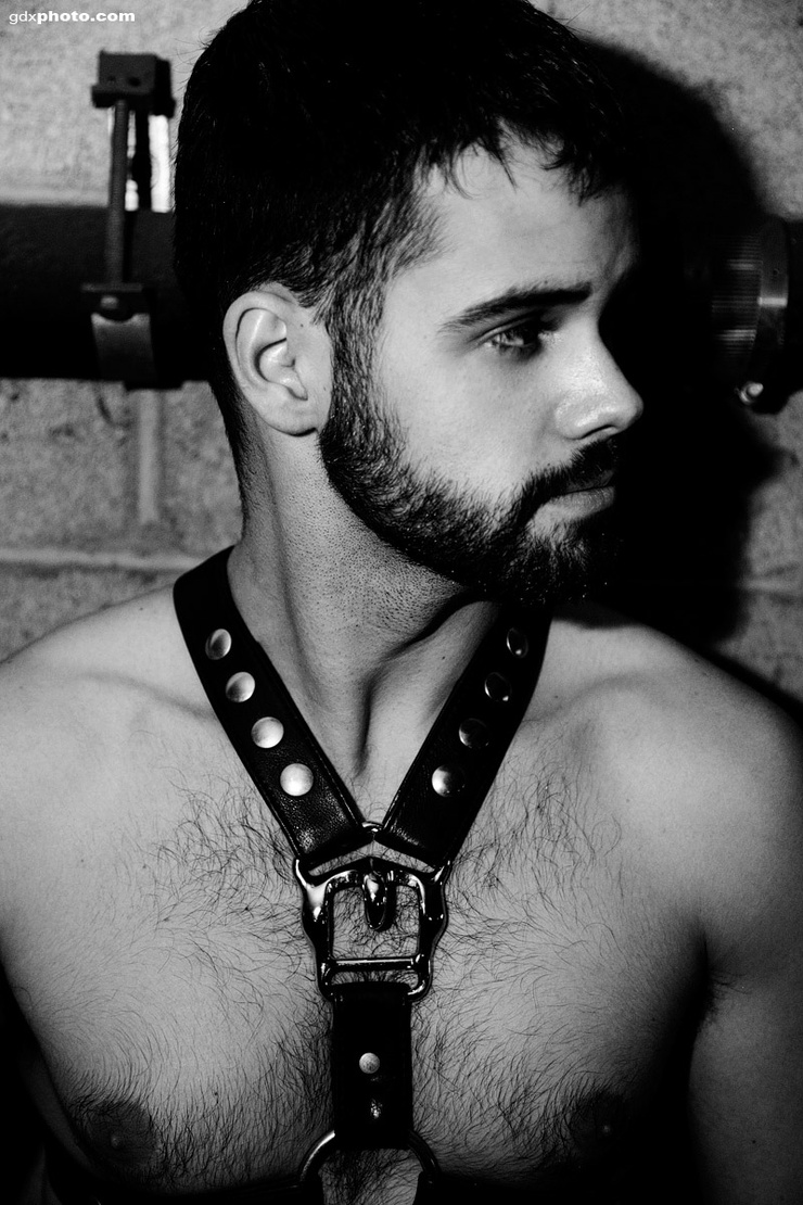 David Laflamme