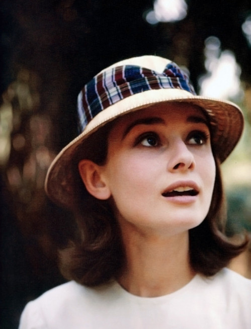 Audrey Hepburn Audrey Hepburn
