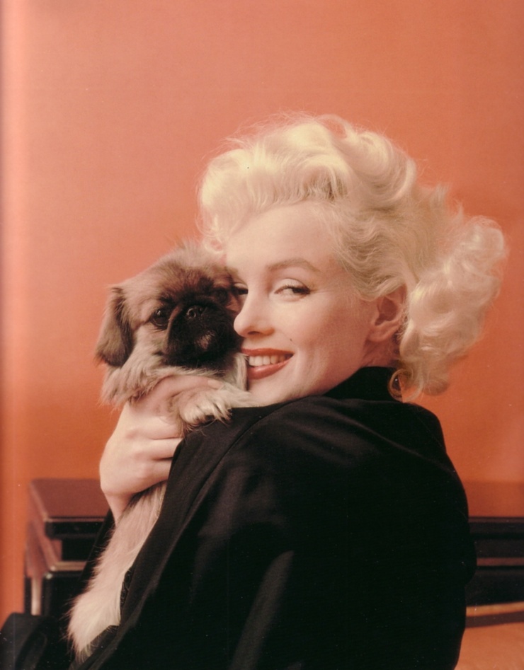 Marilyn Monroe Marilyn Monroe