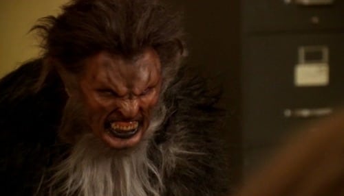 Buffy the Vampire Slayer