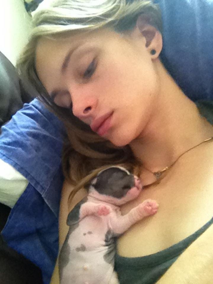 Stav Strashko