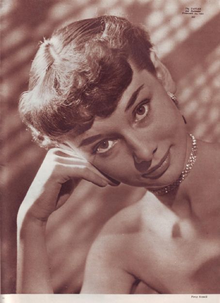 Audrey Hepburn Audrey Hepburn