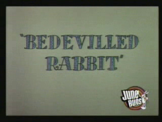 Bedevilled Rabbit