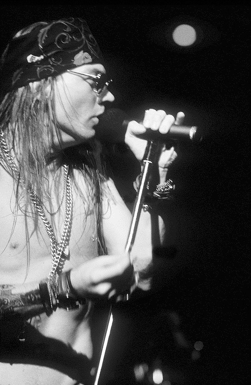Axl Rose